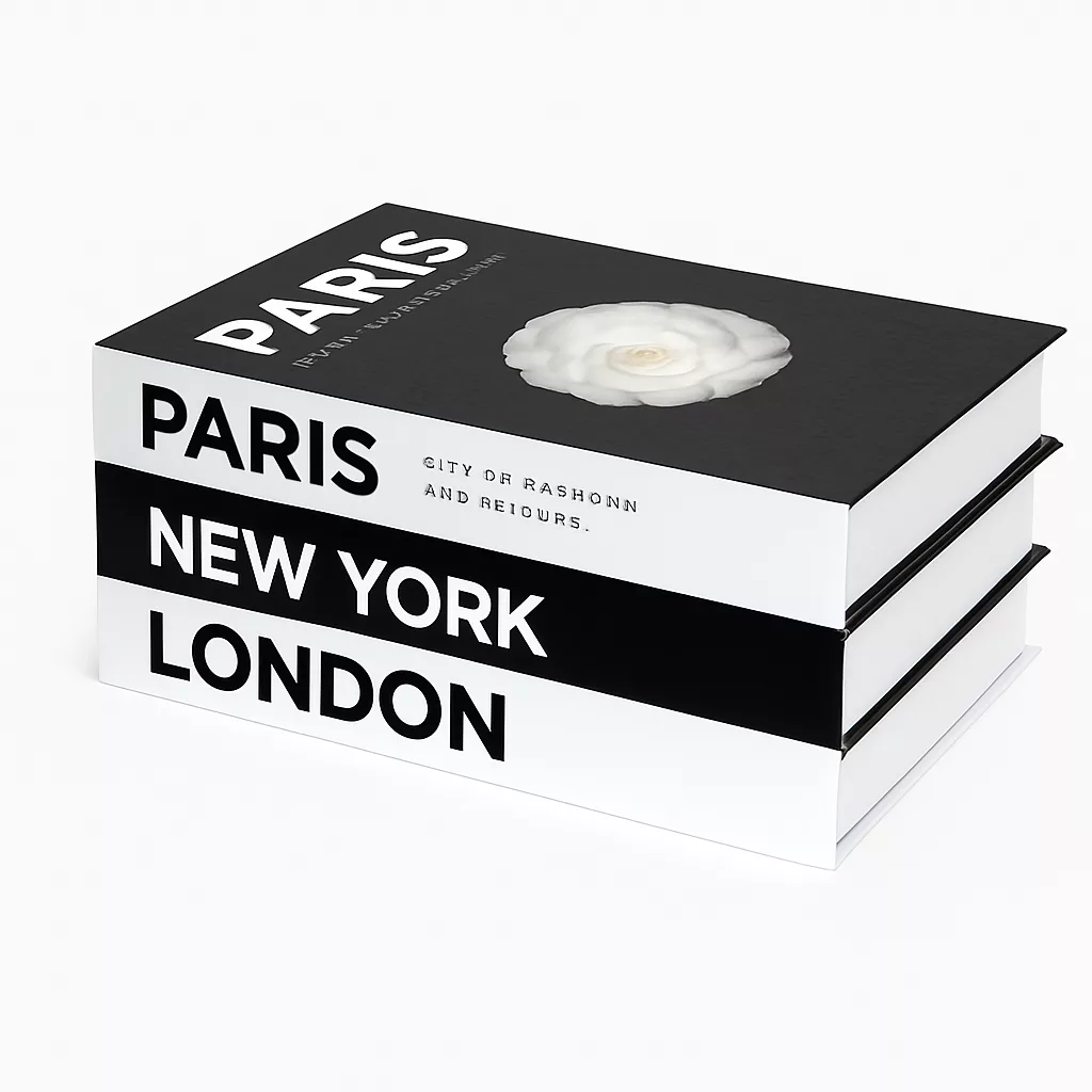 Lot de 3 livres décoratifs design