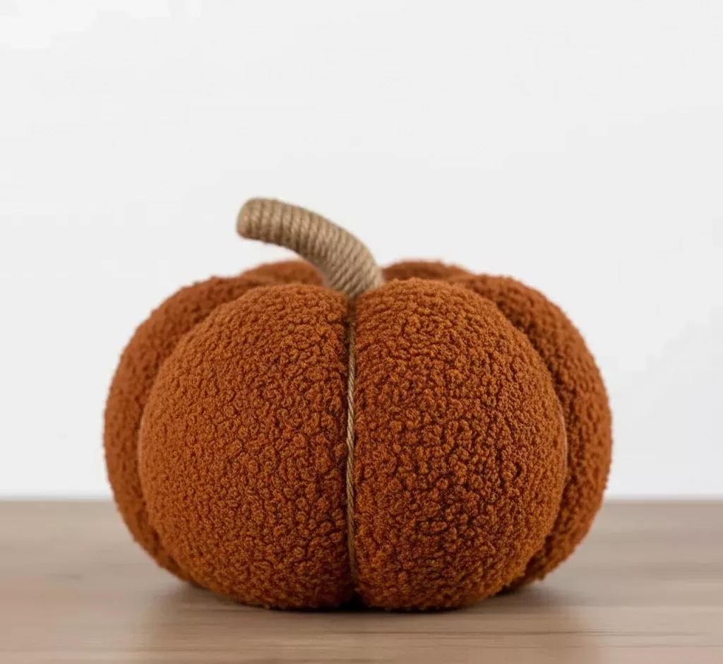 Coussin Décoratif "Citrouille Hygge" – Image 6