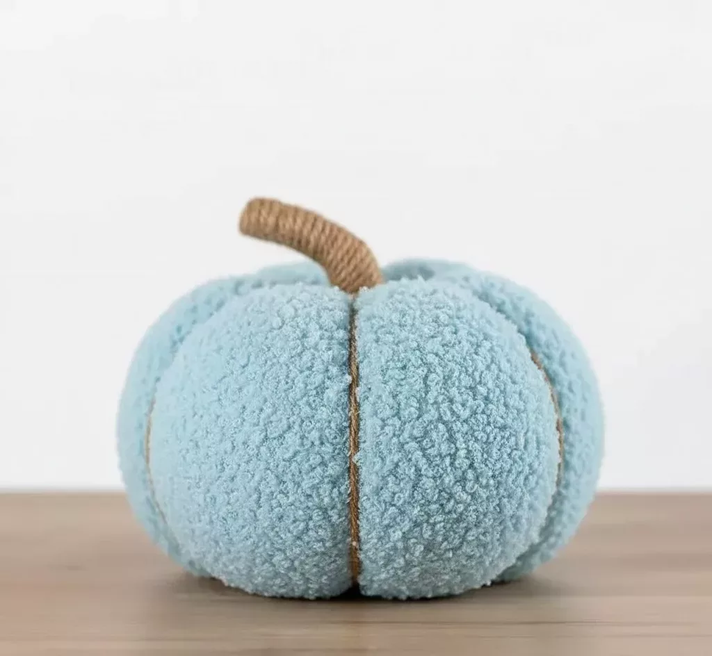 Coussin Décoratif "Citrouille Hygge" – Image 5