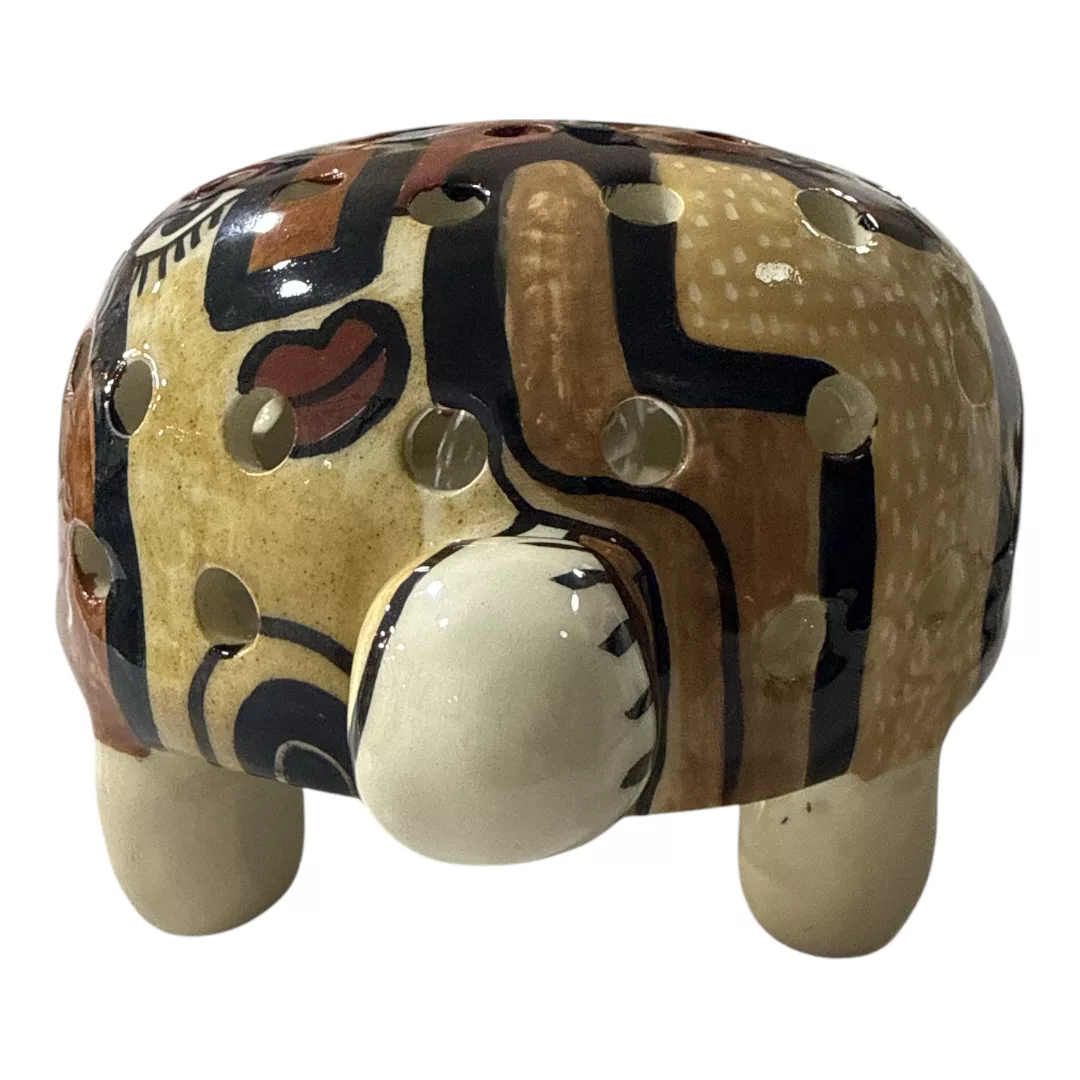 tortue graohique marron et beige7