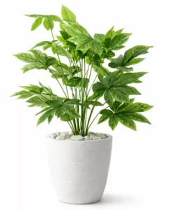 Fatsia Artificielle “Verdure Zen” 