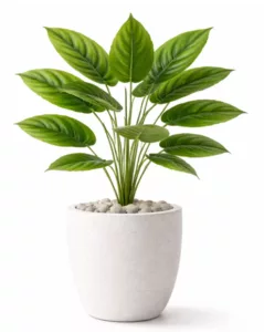 Spathiphyllum Artificiel “Sérénité” 12 feuilles