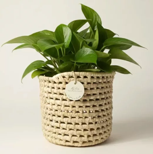 Cache pot en Tunisie